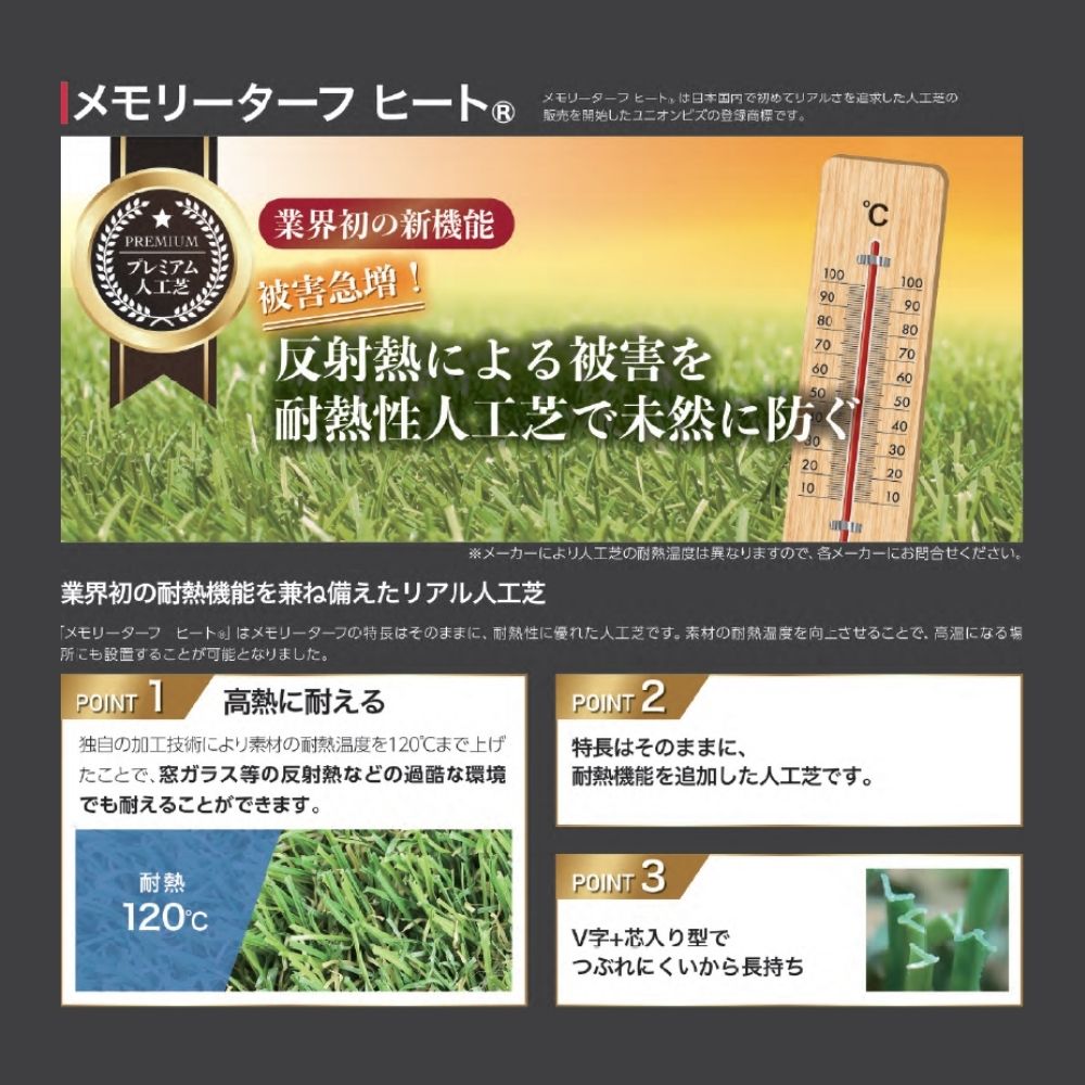 メモリーターフヒート