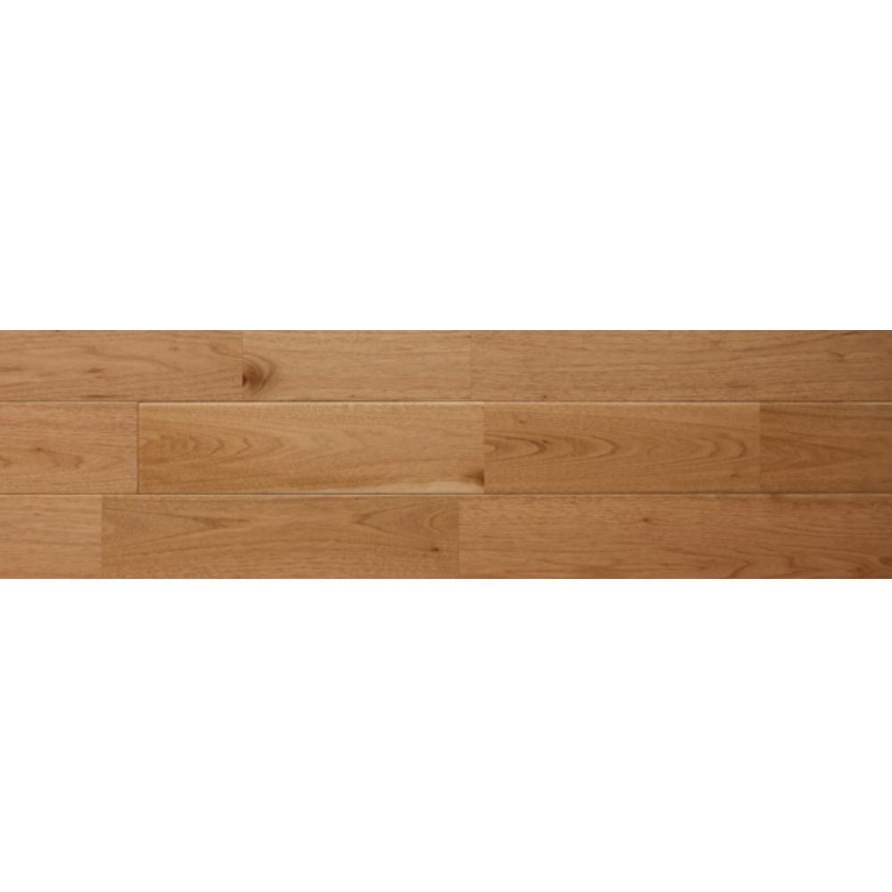 クルミ　Sグレード